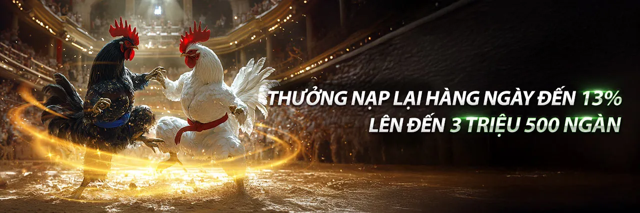 Đá Gà Trực Tuyến nap88 - Trận đấu kịch tính